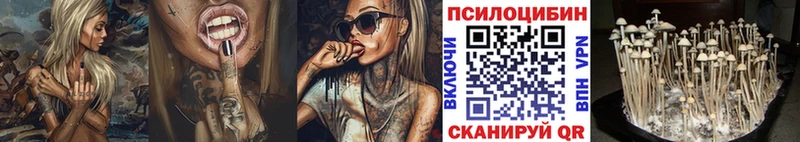 где продают   ОМГ ОМГ ONION  Галлюциногенные грибы Cubensis  Ирбит 