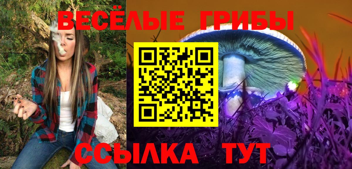 Псилоцибиновые грибы Psilocybine cubensis Ирбит